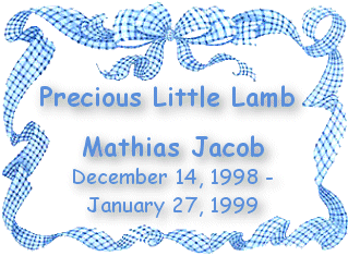 Precious Little Lamb